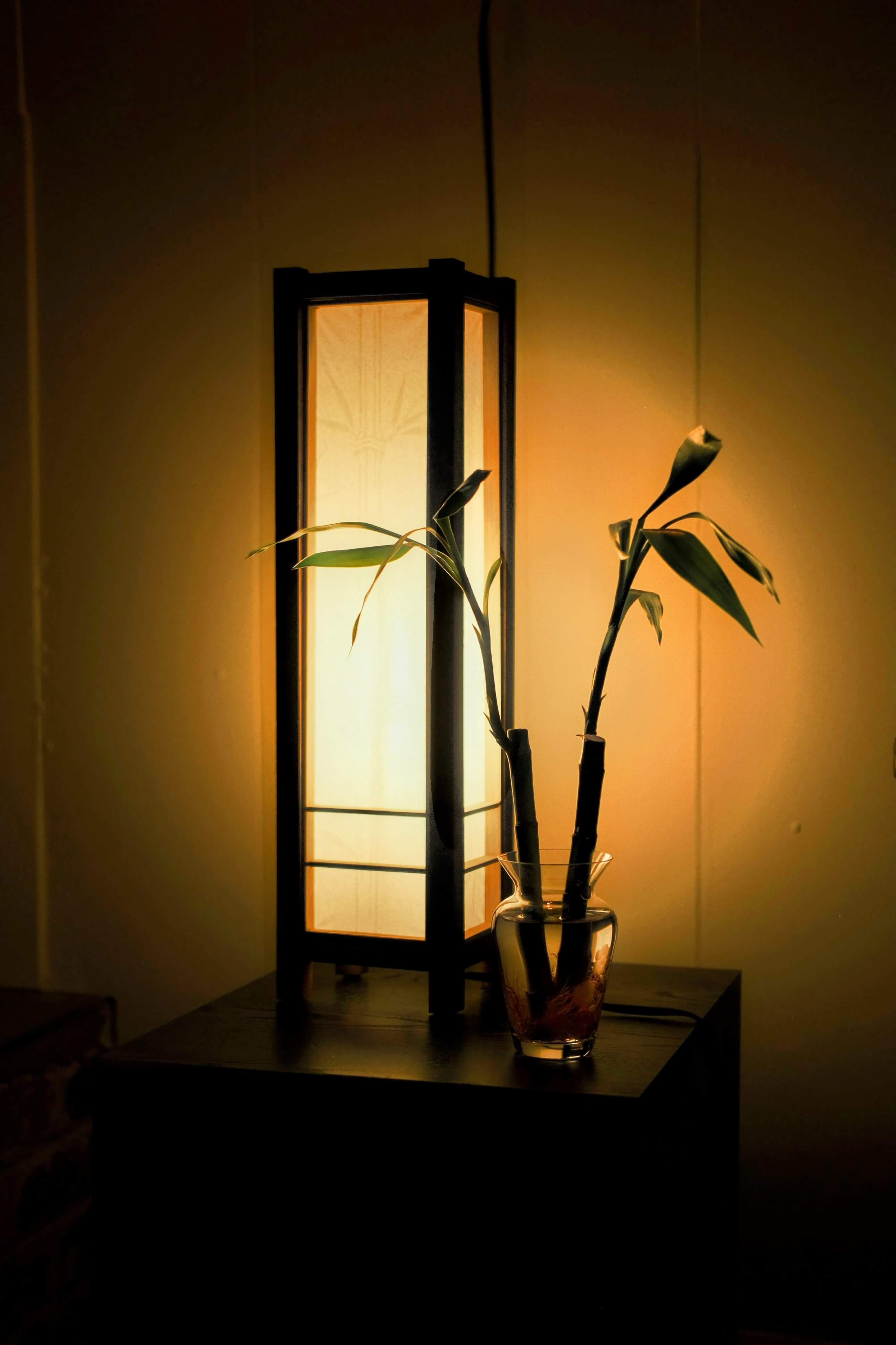 Unagi Series Gallery Image 1