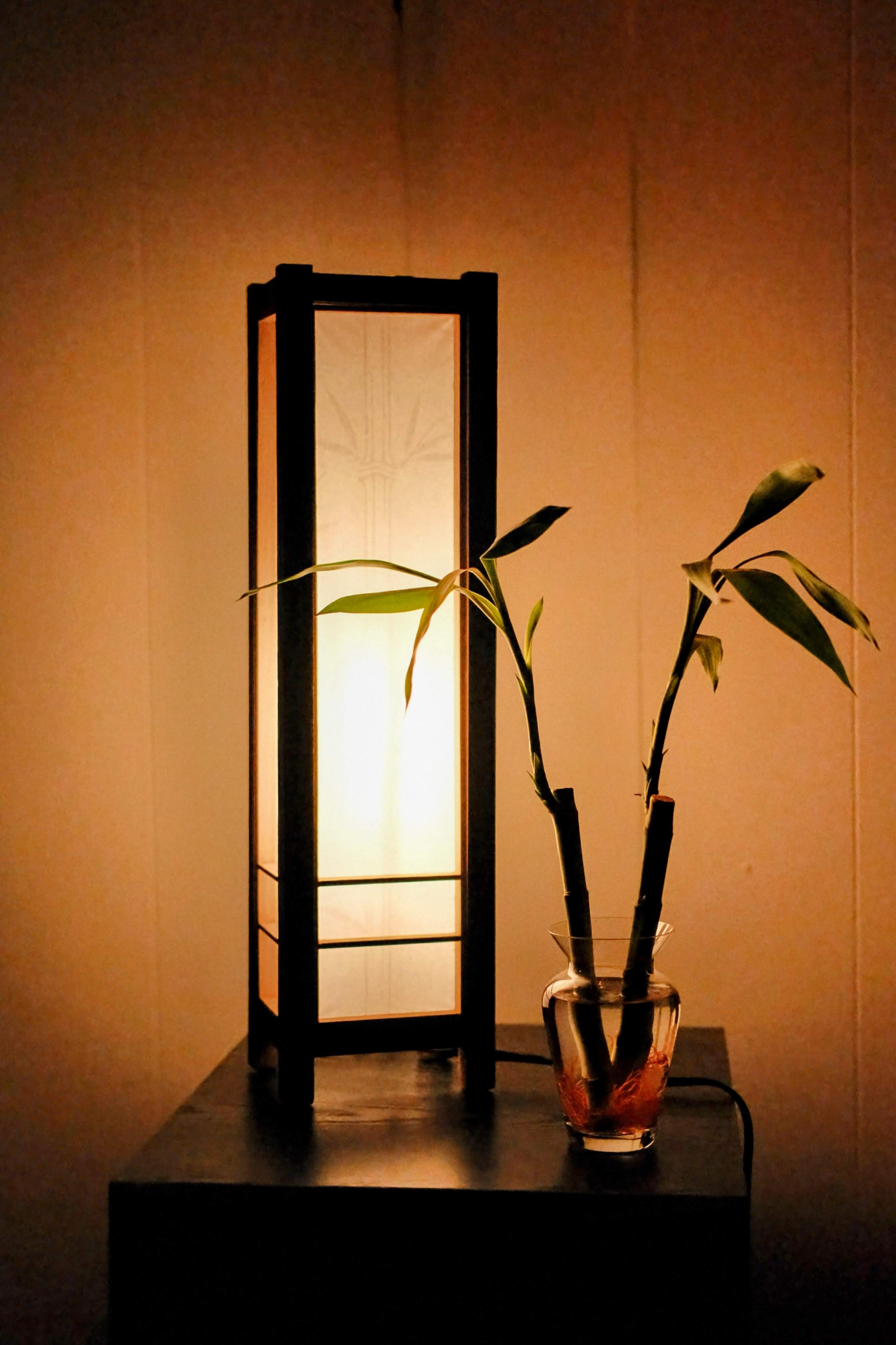 Unagi Series Gallery Image 5